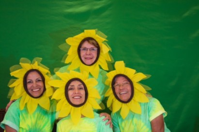 The four Sun Flower Chicks